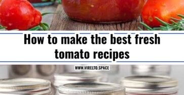 Best fresh tomato recipes for summer harvest