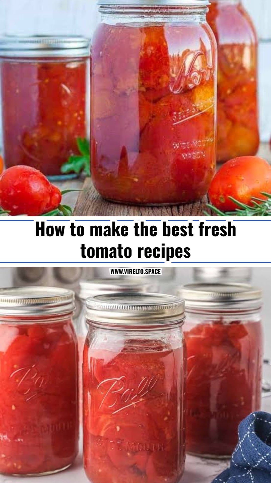 Best fresh tomato recipes for summer harvest